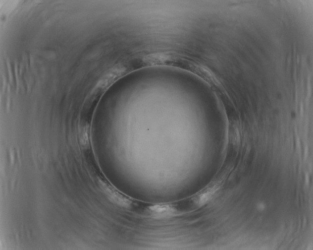 X0000074940477200609011120