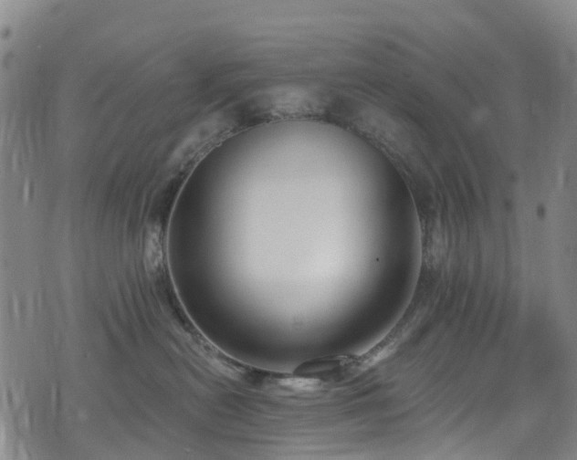 X0000074940478200609011120