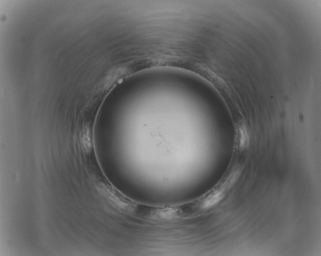 X0000074940479200609011120