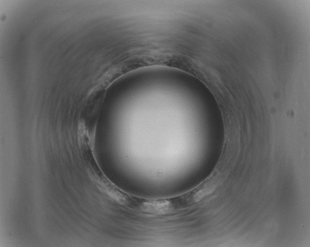 X0000074940480200609011120