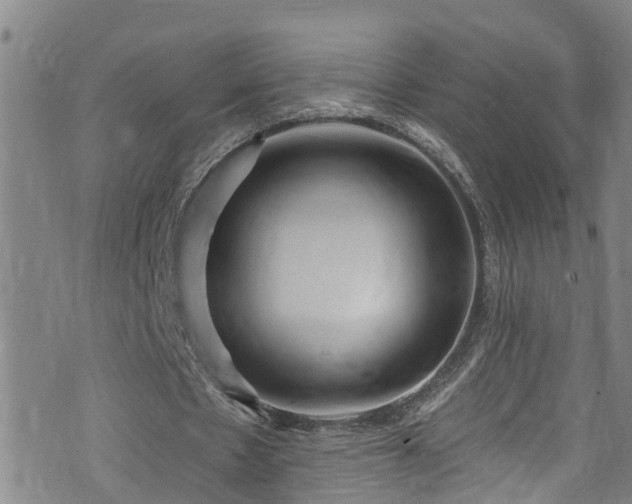 X0000074940481200609011119