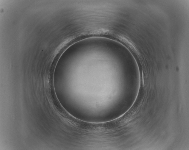 X0000074940483200609011119