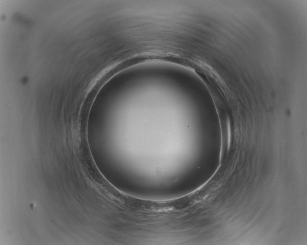 X0000074940484200609011119