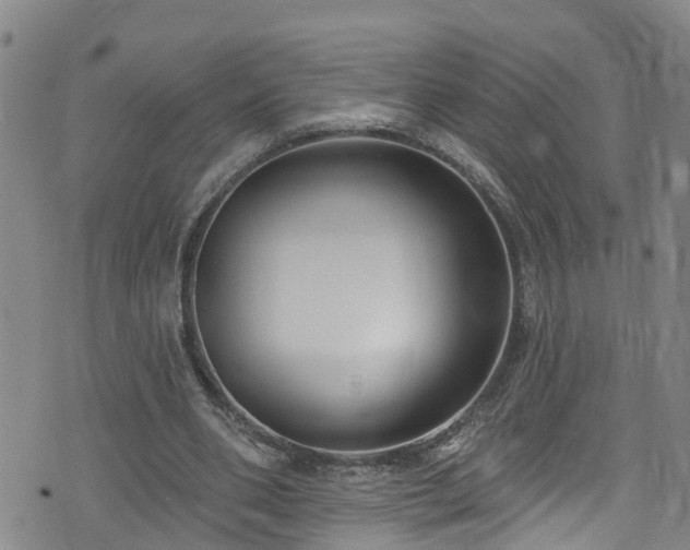 X0000074940486200609011119