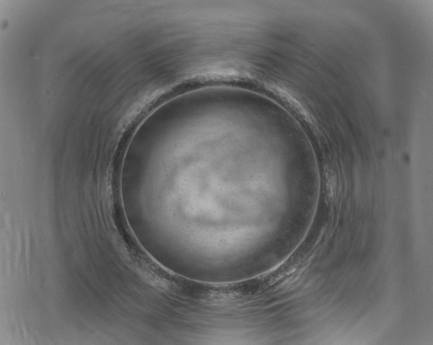 X0000074940487200609011119