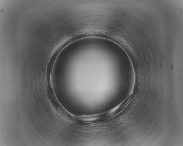 X0000074940488200609011119