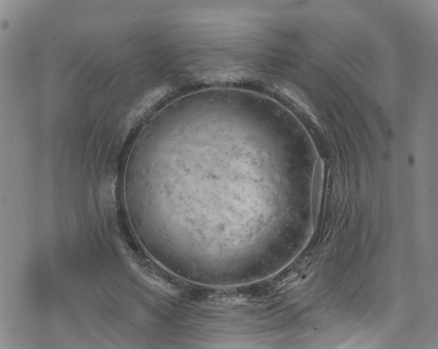 X0000074940491200609011119