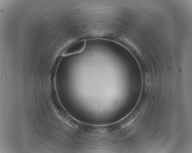 X0000074940492200609011119