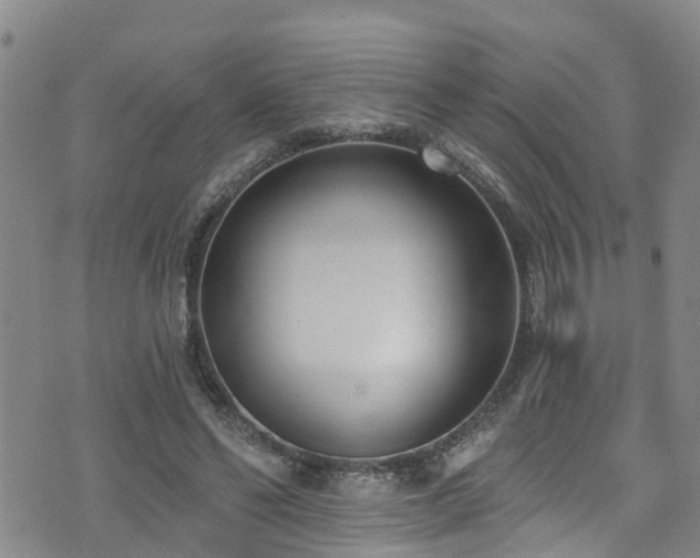 X0000074940494200609011119