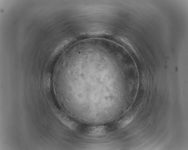 X0000074940495200609011119