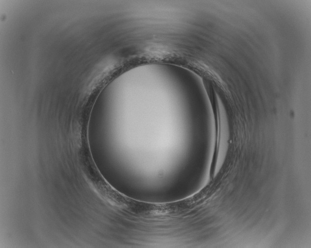 X0000074940496200609011119