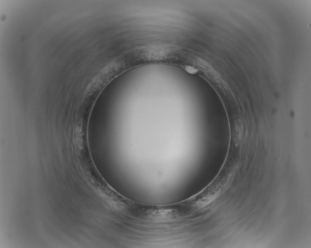 X0000074940497200609011119