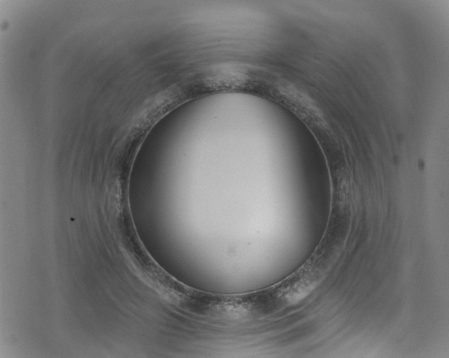 X0000074940498200609011119