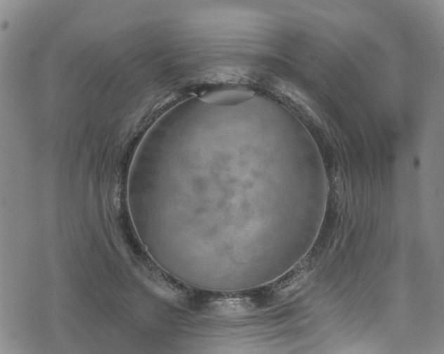 X0000074940499200609011119