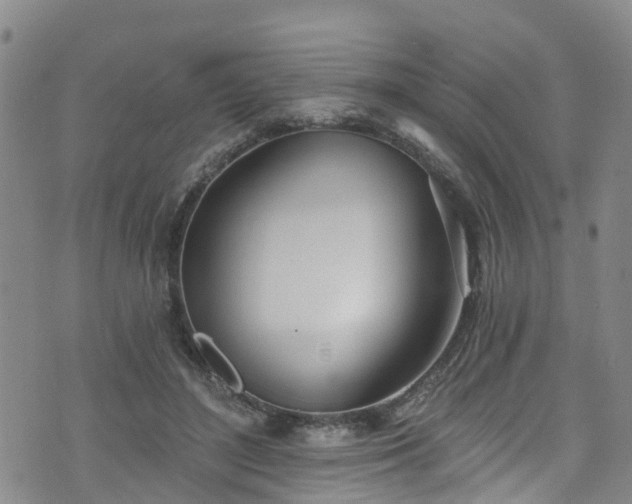 X0000074940500200609011119