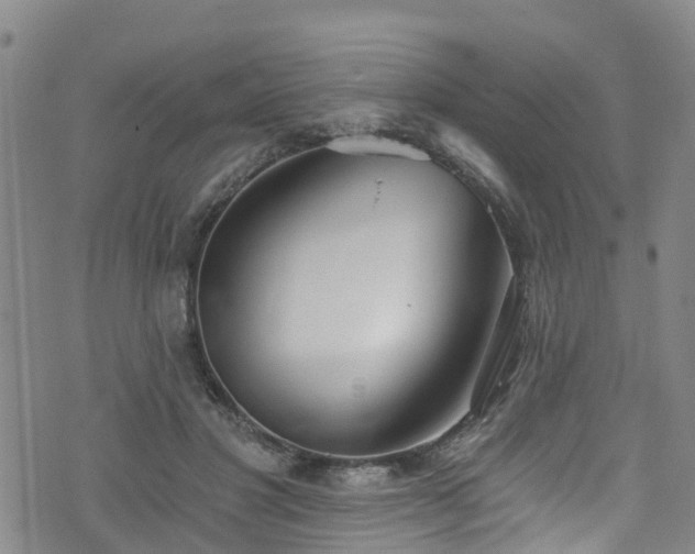 X0000074940501200609011119