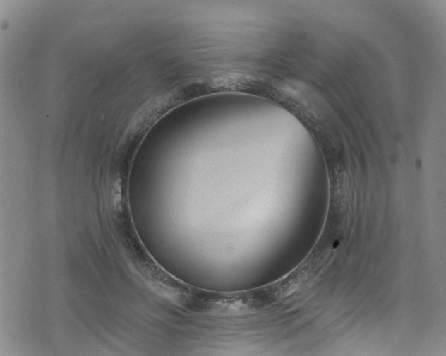 X0000074940502200609011119