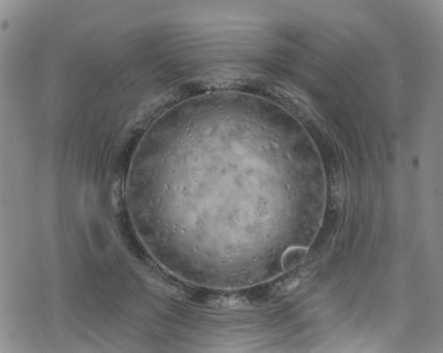 X0000074940503200609011119