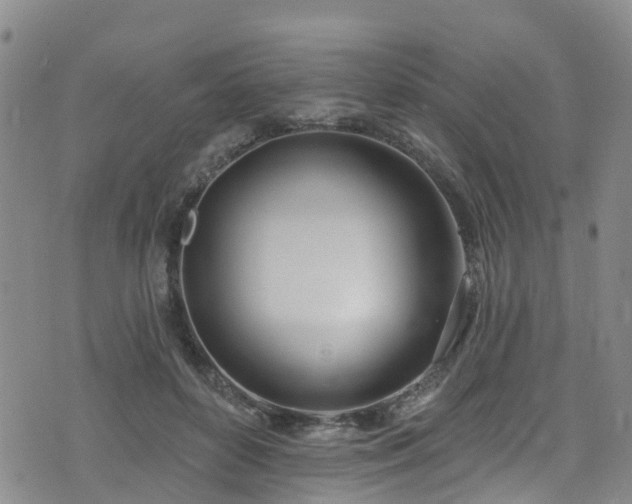 X0000074940504200609011119