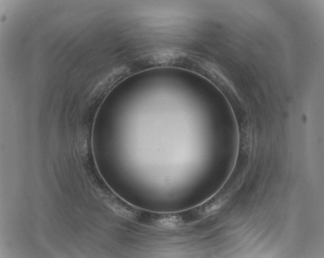 X0000074940505200609011119