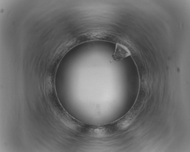 X0000074940506200609011119