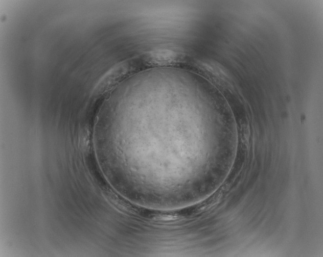 X0000074940507200609011119