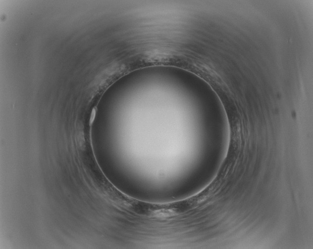 X0000074940508200609011119