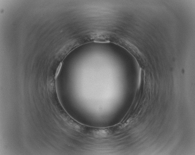 X0000074940513200609011119