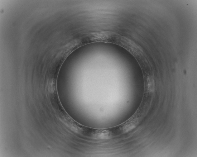 X0000074940514200609011119