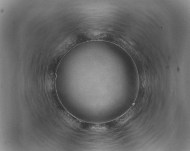 X0000074940515200609011119