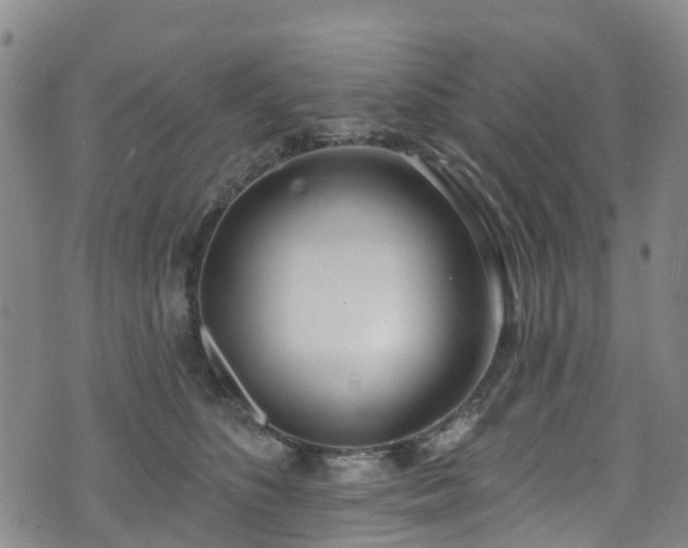 X0000074940516200609011119