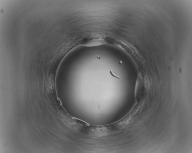 X0000074940517200609011119