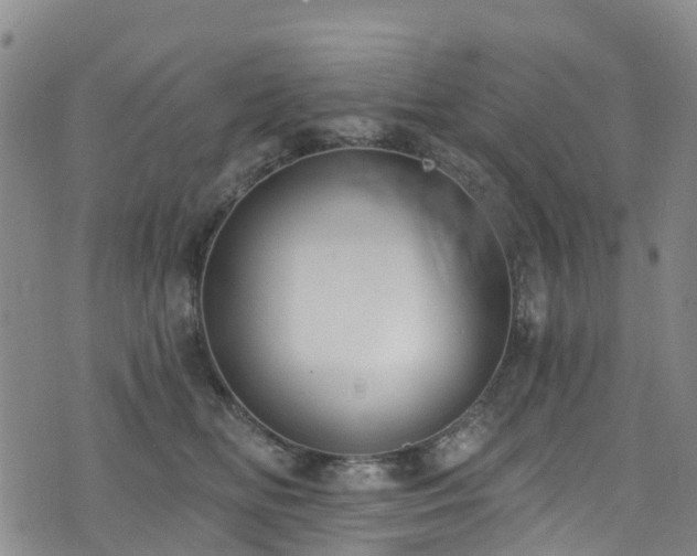 X0000074940518200609011119