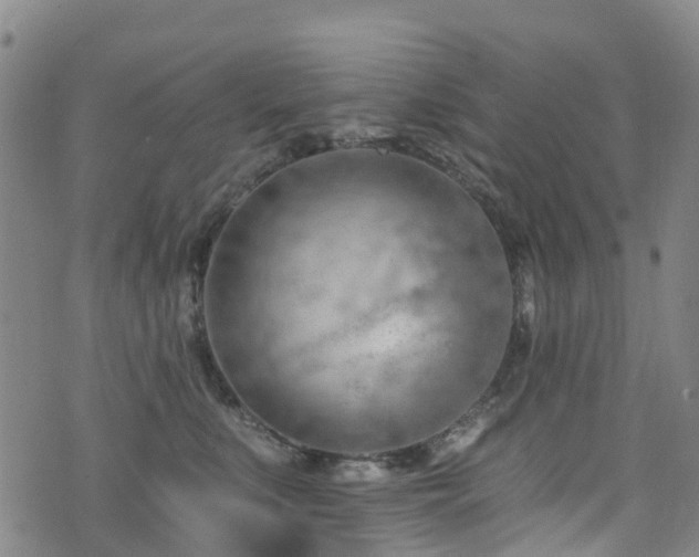 X0000074940519200609011119