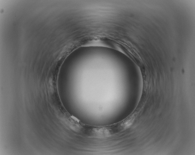 X0000074940520200609011119