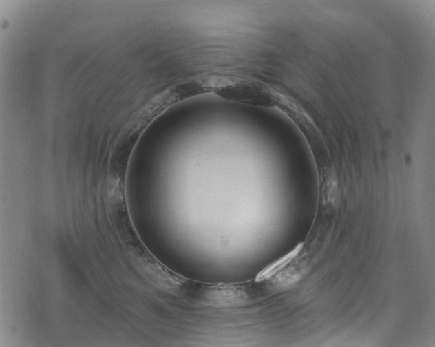 X0000074940521200609011119