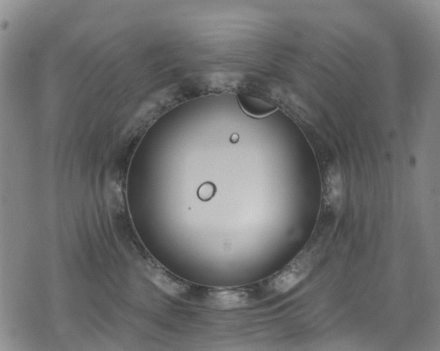 X0000074940522200609011119