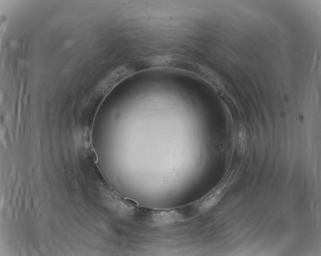 X0000074940525200609011119