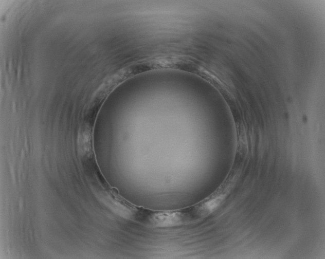 X0000074940526200609011119