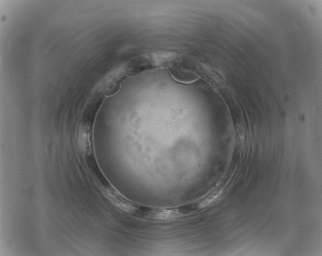 X0000074940527200609011119