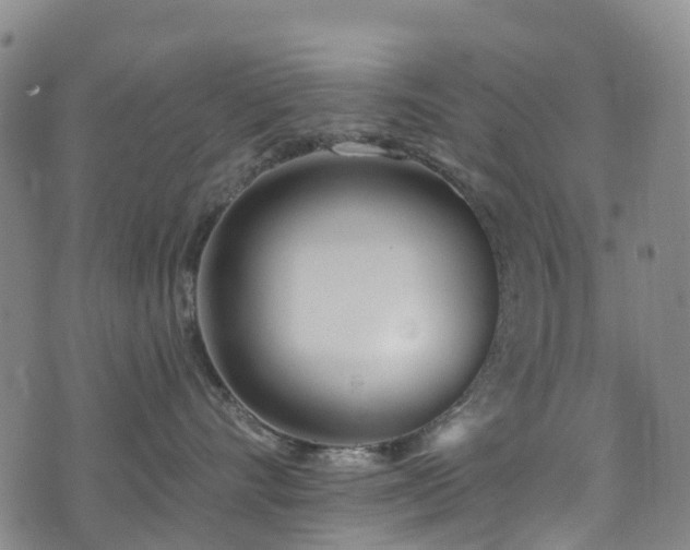 X0000074940528200609011119