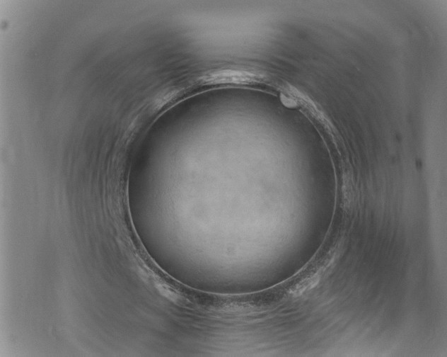 X0000074940529200609011118