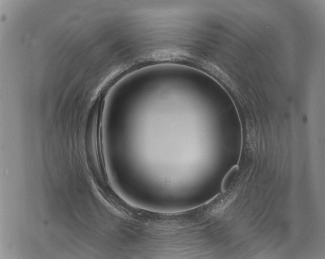 X0000074940530200609011118