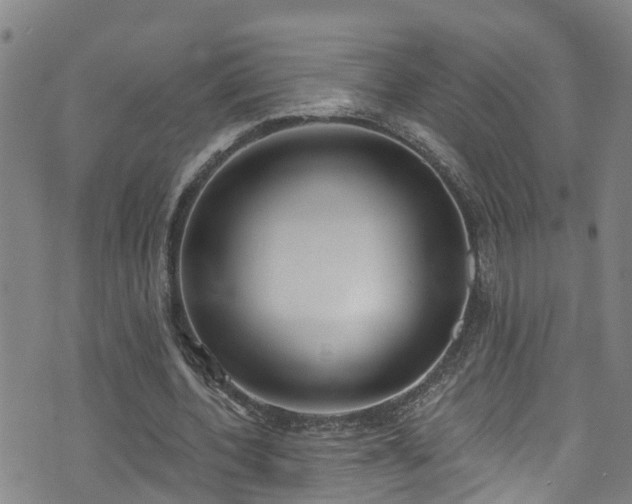 X0000074940532200609011118