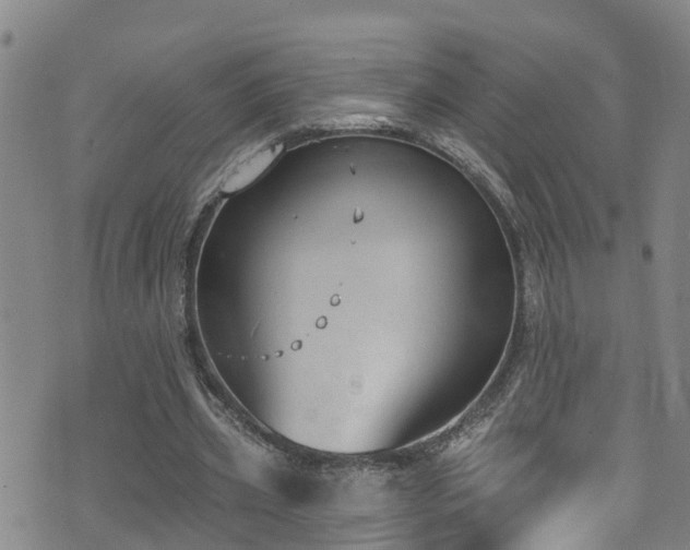 X0000074940533200609011118