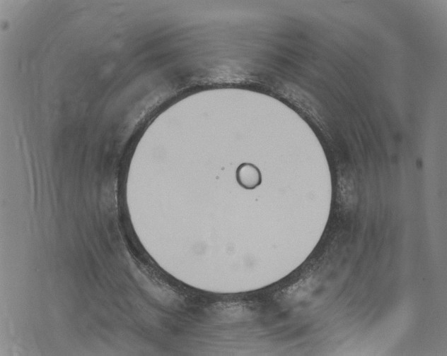 X0000074940534200609011118