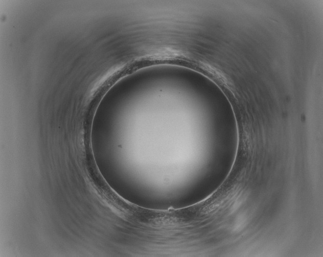 X0000074940535200609011118