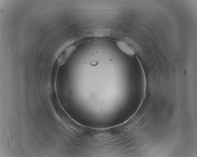 X0000074940536200609011118