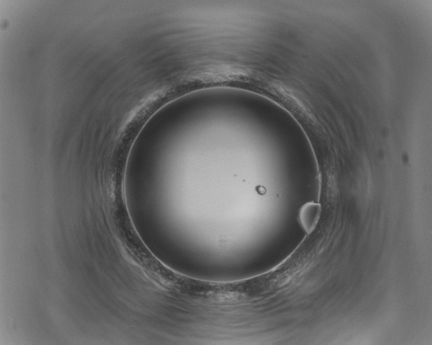 X0000074940539200609011118