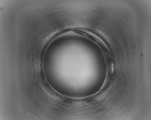 X0000074940540200609011118